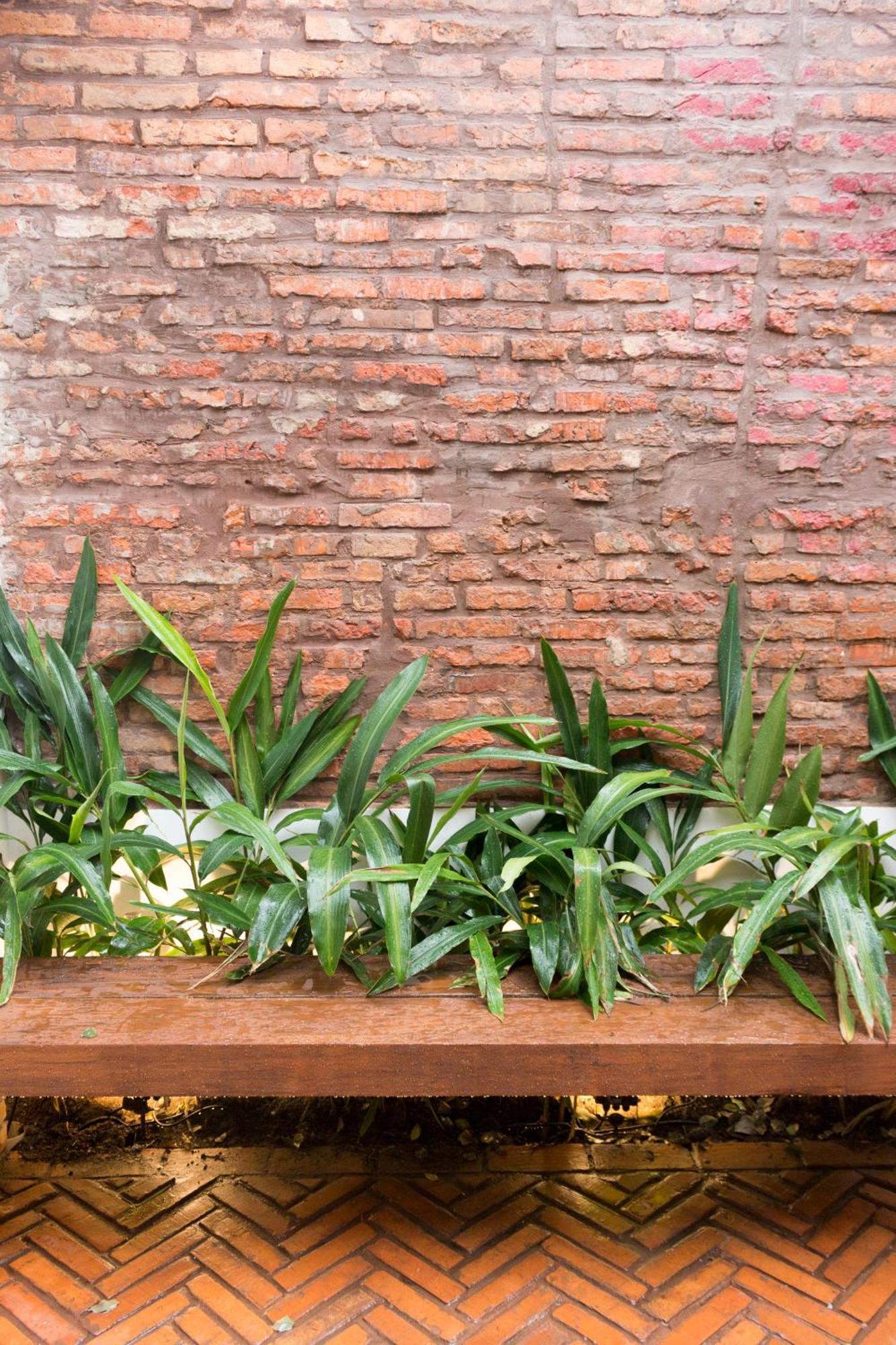 Lola'S Home Asunción Exterior foto